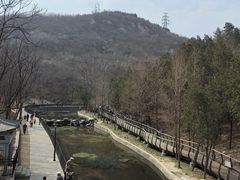 -白水寺森林公园