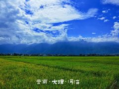-大理洱海