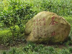 -海珠湖公园