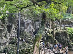 -灵顺寺