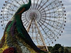 -七彩云南欢乐世界