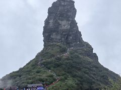 -亮欢寨酸汤鱼(沙冲路店)