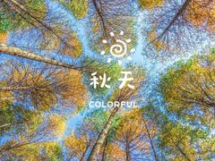 -山王坪喀斯特国家生态公园