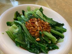 特色捞起油麦菜-海宝酒家(中山四路店)