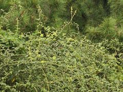 -敬亭山风景名胜区