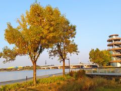 -北龙湖湿地公园