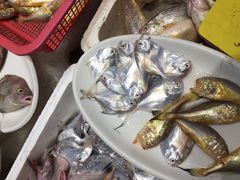-开鑫鱼厂·宁波海鲜(前程智慧城店)