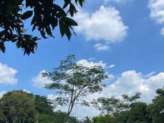 -深圳湾公园(南山区)