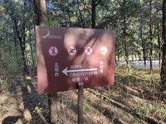 -北京十三陵国家森林公园蟒山景区