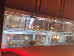 -苏淮景·苏闽融创菜·海鲜(原空港井河轩店)