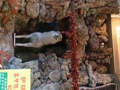 android_upload_pic-乔家满族八大碗(流水沟店)