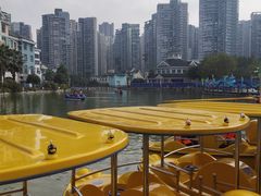 -海合安成都极地海洋公园