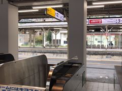 -伊豆观海列车