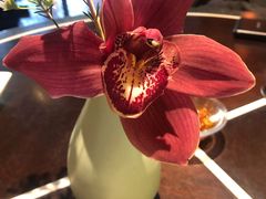 -杭州西子湖四季酒店·金沙厅