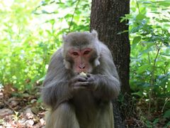 -北京上方山国家森林公园