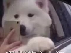 -五道口枣糕王(成府路店)