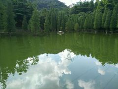 -广州市帽峰山景区
