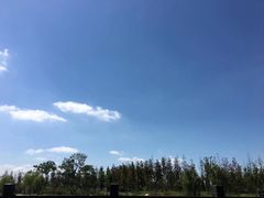 -上海长兴岛郊野公园