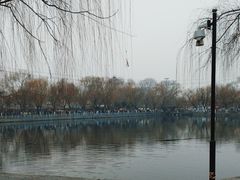 -百花洲