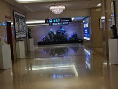 -郑州新郑国际机场T2航站楼-贵宾厅B区