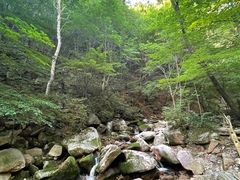 -本溪汤沟绿石谷森林公园