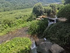 -中国茶叶博物馆(双峰馆区)