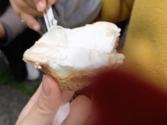 -高老太奶油小攀(新建南路店)