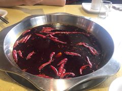 -田鸭肠·非遗火锅(彭州店)