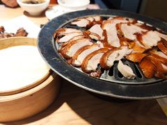 -守柴炉烤鸭(科华中路王府井店)