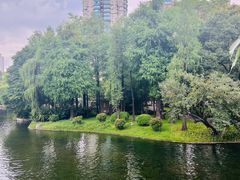 -晓港公园