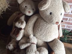 -济州岛泰迪熊博物馆