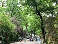 -岳麓山风景名胜区