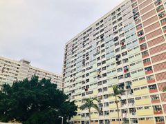 -彩虹村