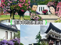 -无锡蠡湖国家湿地公园-蠡园