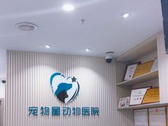 -宠物星动物医院·眼科·异宠·猫科(江南大道总院)
