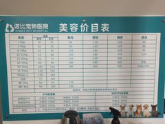 -诺比宠物医院心脏内科·泌尿肾内外科·骨科急重症