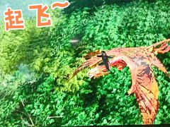 -华谊兄弟（长沙）电影小镇