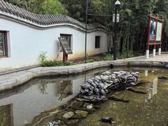 -红螺寺