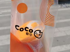-CoCo都可(常德路店)