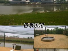 -盐城丹顶鹤湿地生态旅游区