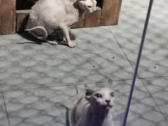 -荆州中山公园动物园