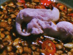 鸡肉-狐狸爱上椰子鸡(滨江星光大道店)