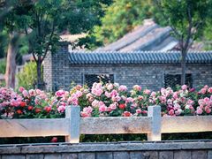 -三里河公园