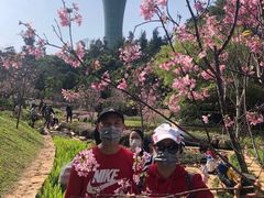 -狐尾山公园