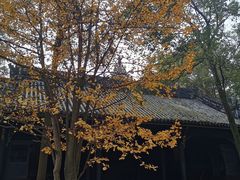 -宝光寺
