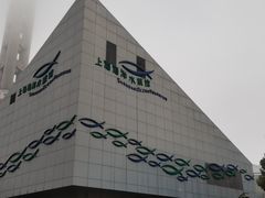 -上海海洋水族馆