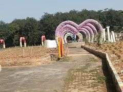 -松山湖梦幻百花洲