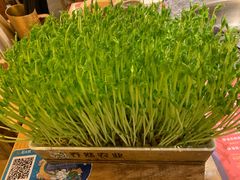 -蜀大侠火锅(四川北路店)