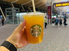 冰摇柠檬茶-星巴克(浦东机场T2到达店)