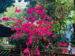 门面-T館·花园艺术餐厅